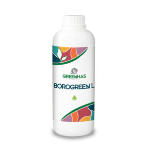 Borogreen L