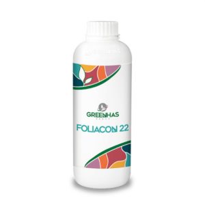 Foliacon 22