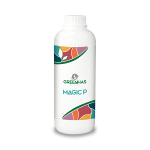 Magic P