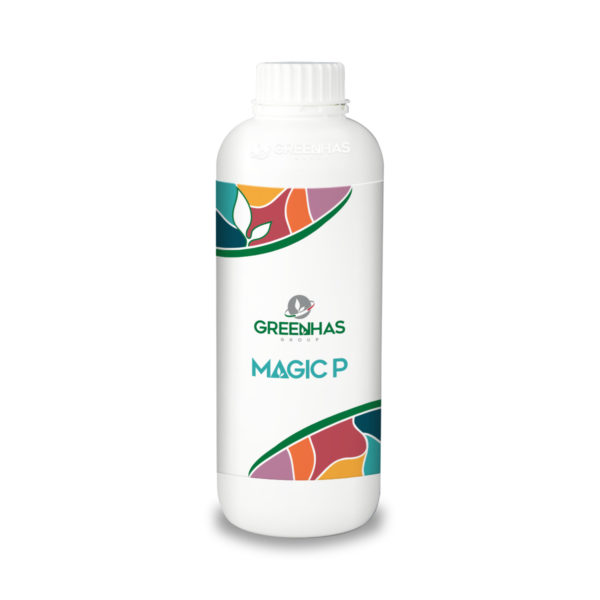 magic-p