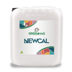 Newcal