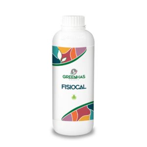 Fisiocal