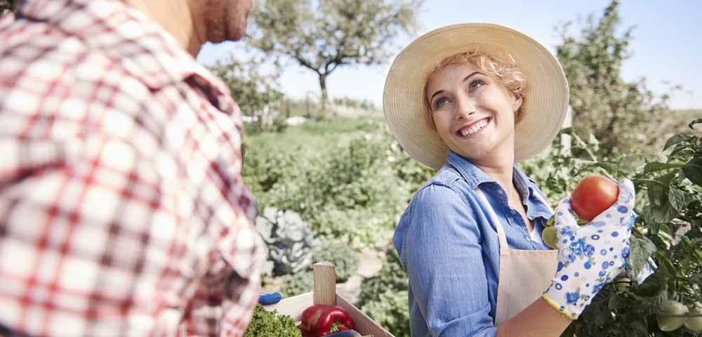 Seedplus kalcium-utánpótlási program