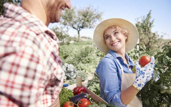 Seedplus kalcium-utánpótlási program